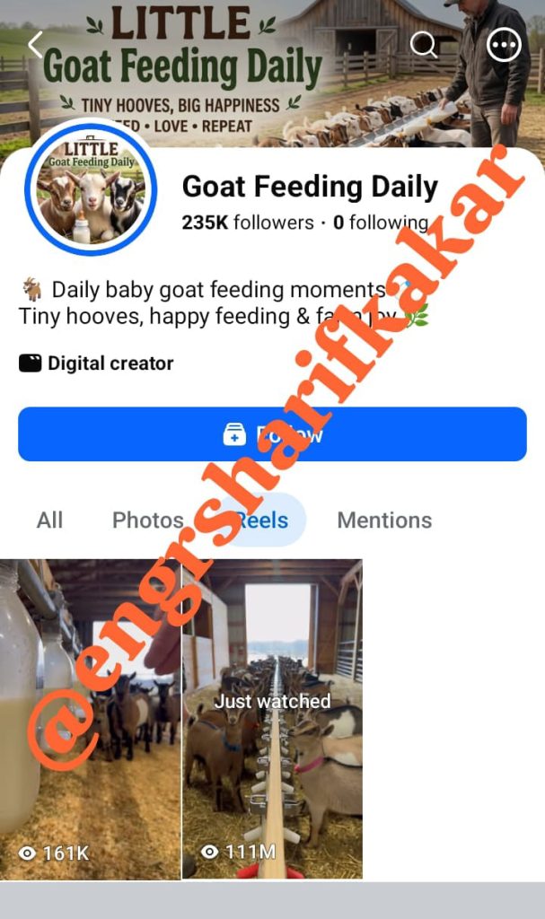  Farm Animal Video